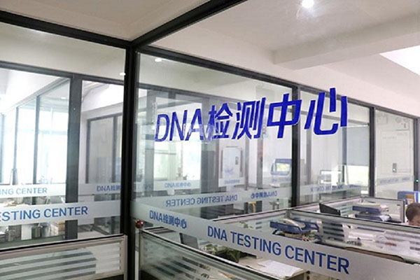 芜湖DNA亲子鉴定多久能出结果（短期内获得鉴定报告的秘诀） 